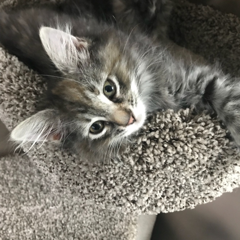 Meet your Posher, Karyn